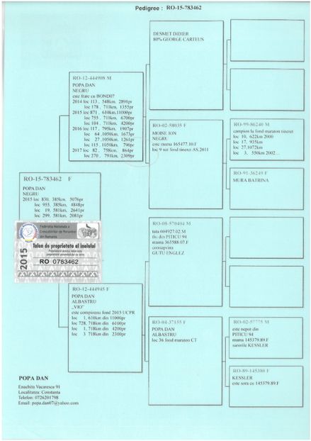 SKM_C224e18041813301_0001 - Pedigree masculi matca
