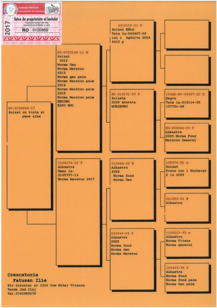 SKM_C224e18041813590_0001 - Pedigree masculi matca
