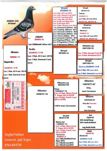 SKM_C224e18041813380_0001 - Pedigree masculi matca