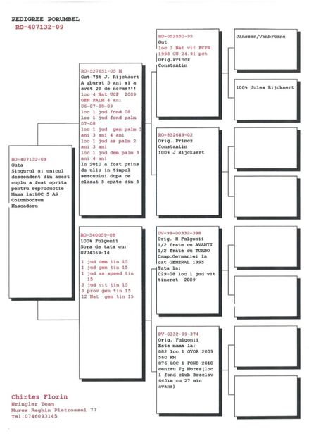 SKM_C224e18041813321_0001 - Pedigree masculi matca