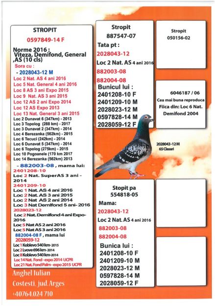 SKM_C224e18041814011_0001 - Pedigree masculi matca