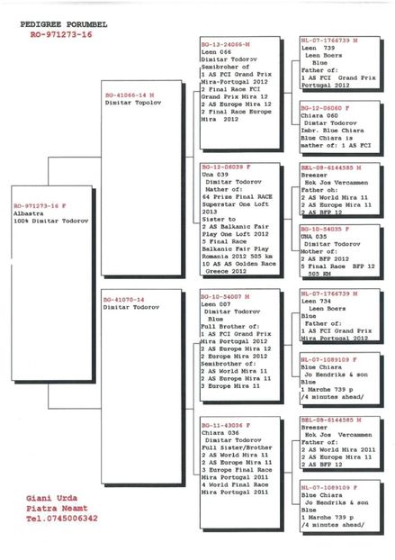 SKM_C224e18041813311_0001 - Pedigree masculi matca