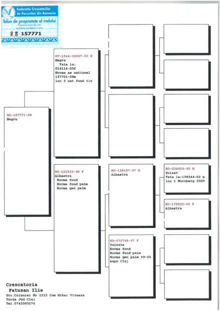 SKM_C224e18041813592_0001 - Pedigree masculi matca