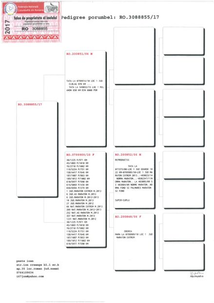 SKM_C224e18041813390_0001 - Pedigree masculi matca