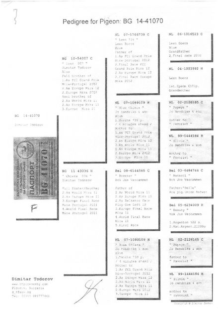 SKM_C224e18041813320_0001 - Pedigree masculi matca