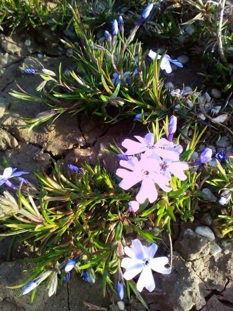  - curtea cu toate cele 2018