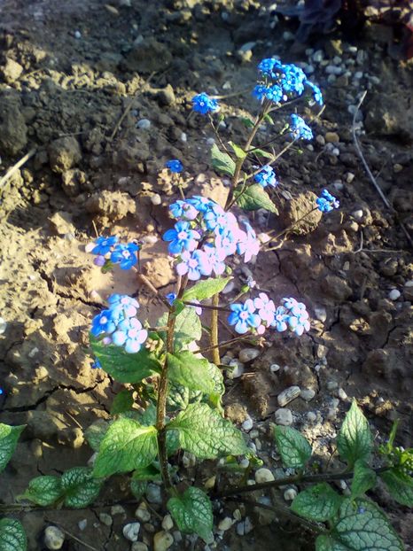  - curtea cu toate cele 2018