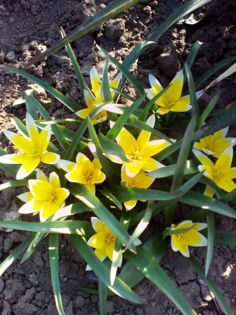  - curtea cu toate cele 2018