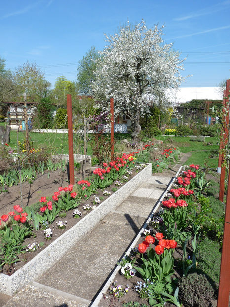  - 2018 - 01 - Primavara