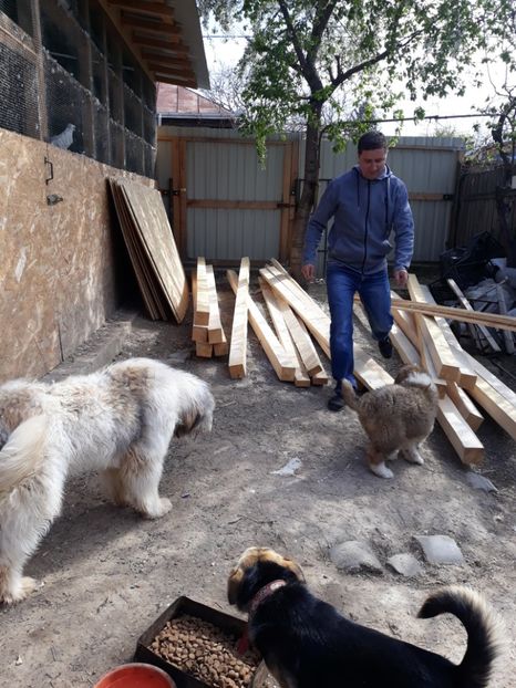  - Ne pregatim pentru a doua voliera