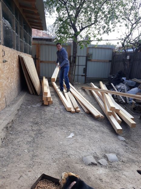  - Ne pregatim pentru a doua voliera