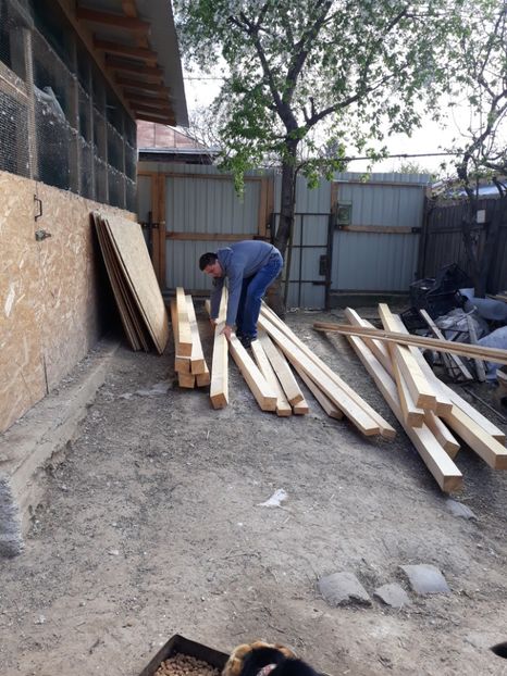  - Ne pregatim pentru a doua voliera