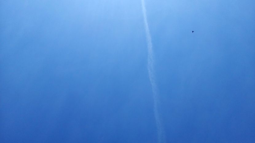  - antrenament de 3 ori pe saptamana