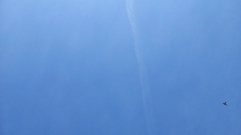  - antrenament de 3 ori pe saptamana