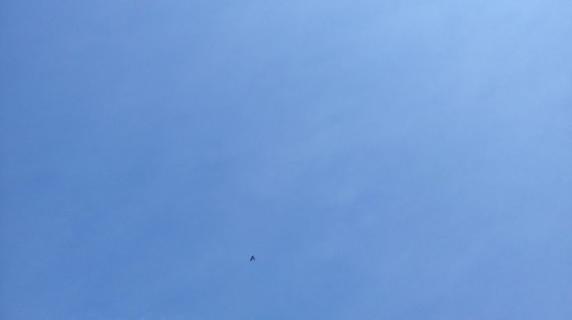  - antrenament de 3 ori pe saptamana