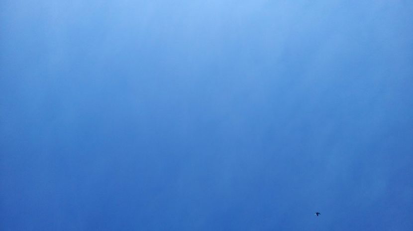  - antrenament de 3 ori pe saptamana