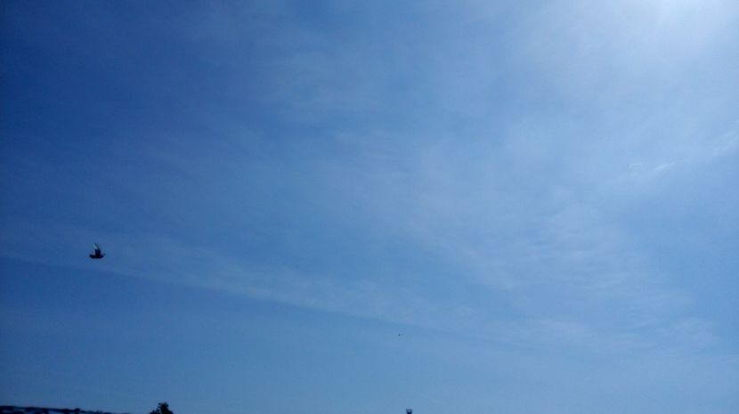  - antrenament de 3 ori pe saptamana