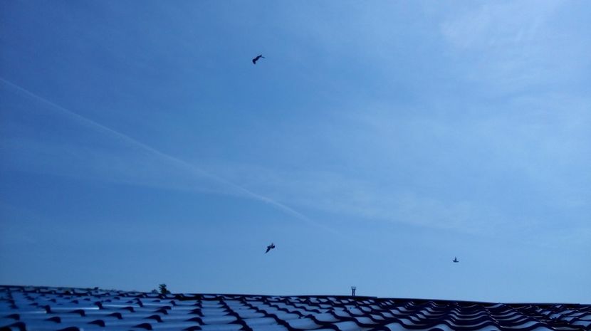  - antrenament de 3 ori pe saptamana