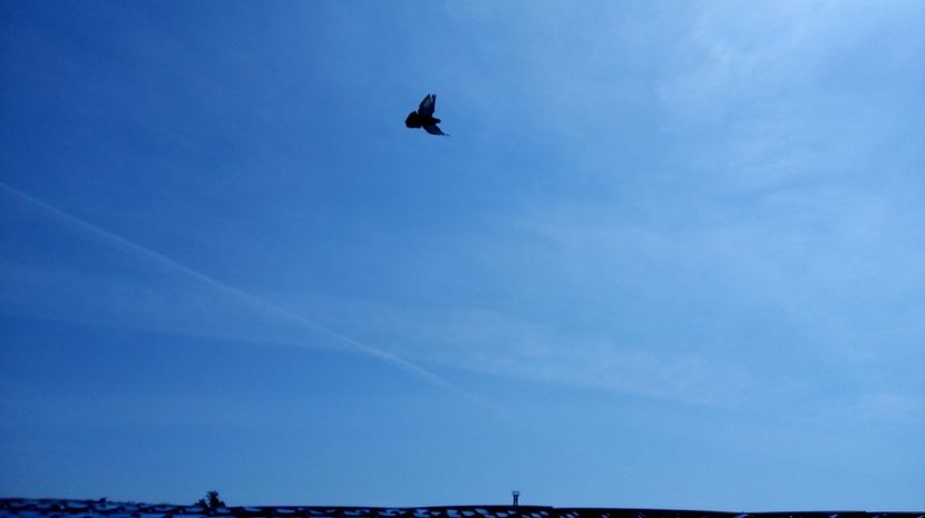  - antrenament de 3 ori pe saptamana