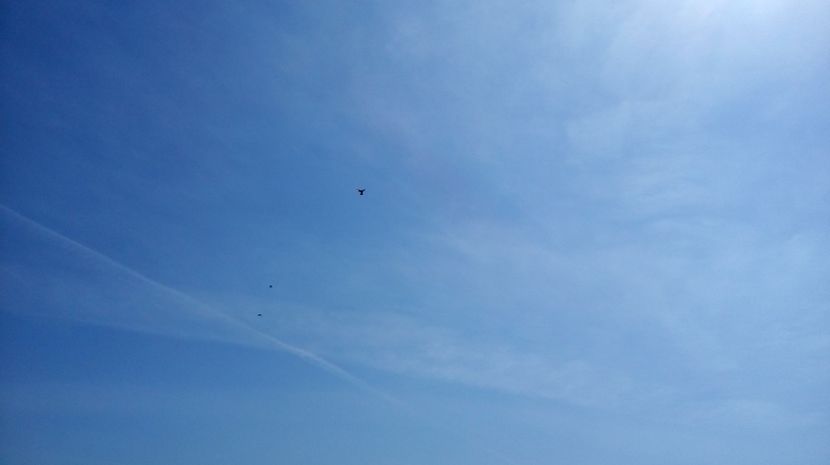  - antrenament de 3 ori pe saptamana