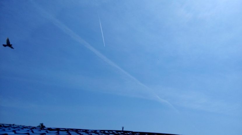  - antrenament de 3 ori pe saptamana