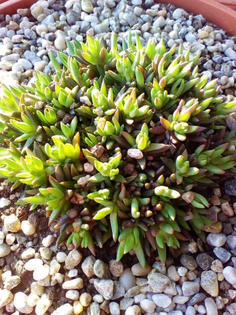  - curtea cu toate cele 2018