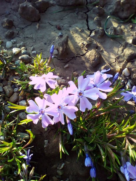  - curtea cu toate cele 2018