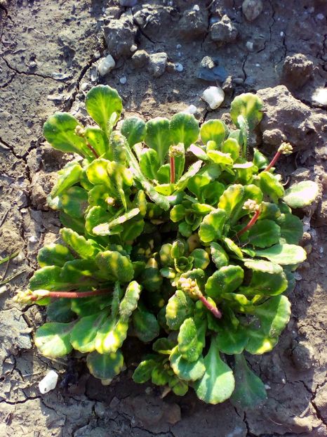  - curtea cu toate cele 2018