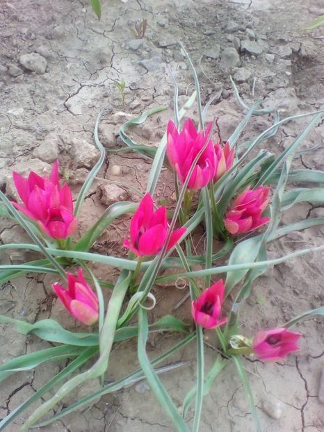  - curtea cu toate cele 2018