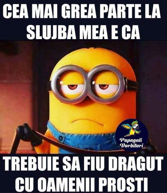  - Poze 3
