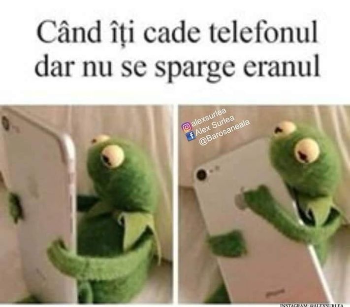  - Poze 3