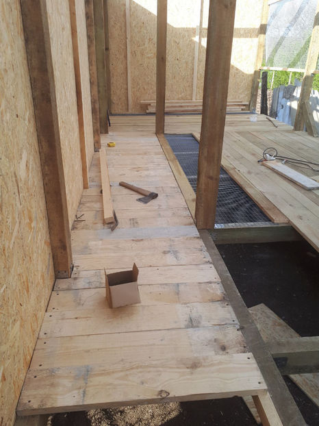 IMG-20180419-WA0020 - Crescatorie nouă 2018