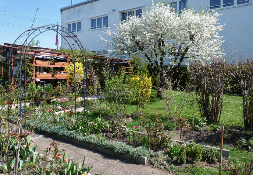  - 2018 - 01 - Primavara