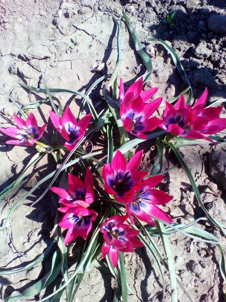  - curtea cu toate cele 2018