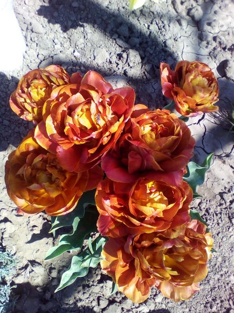  - curtea cu toate cele 2018