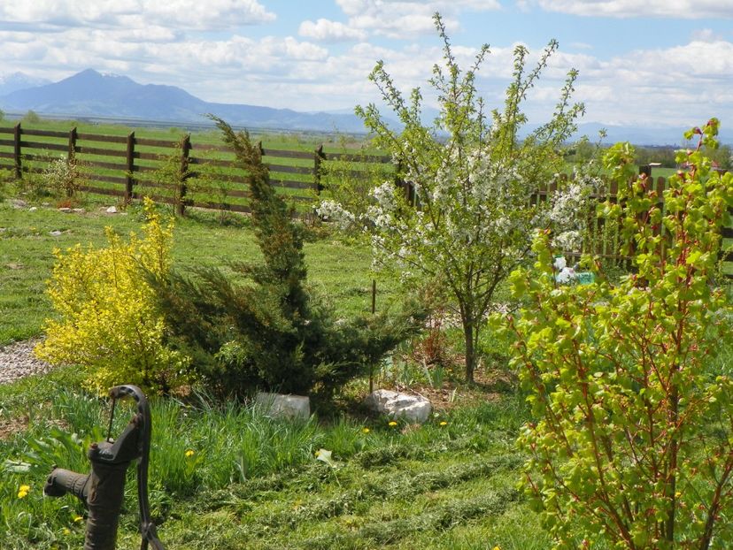 20 apr (8) - z-Dobarland 2018