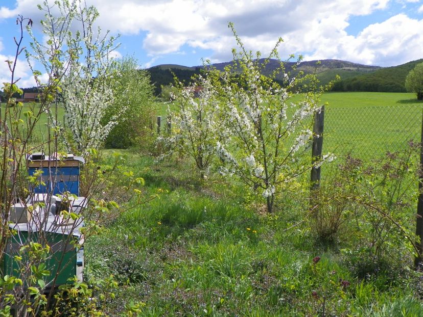 20 apr (55) - z-Dobarland 2018