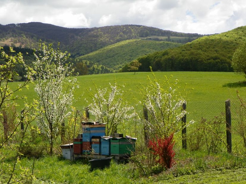 20 apr (79) - z-Dobarland 2018