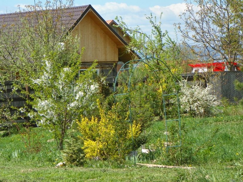 20 apr (95) - z-Dobarland 2018