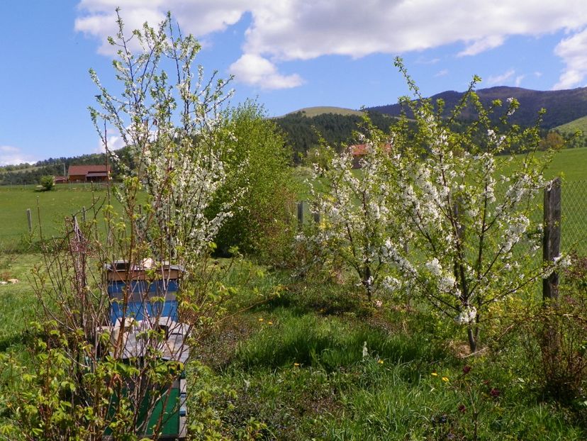 20 apr (96) - z-Dobarland 2018