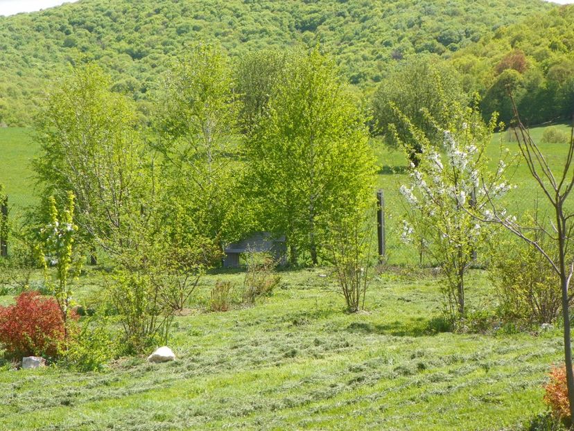 20 apr (114) - z-Dobarland 2018