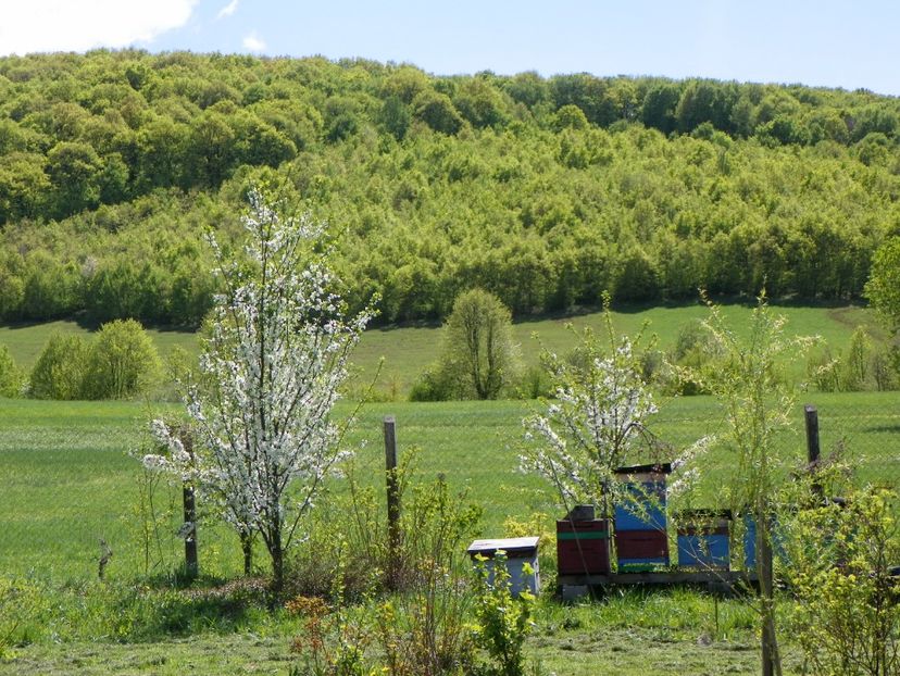 20 apr (115) - z-Dobarland 2018