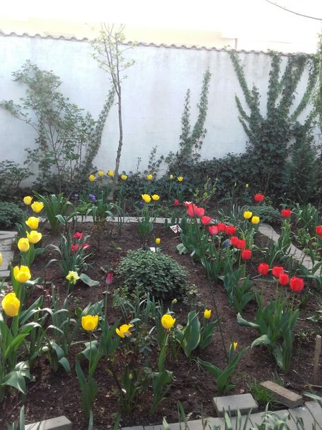  - Gradina-2018
