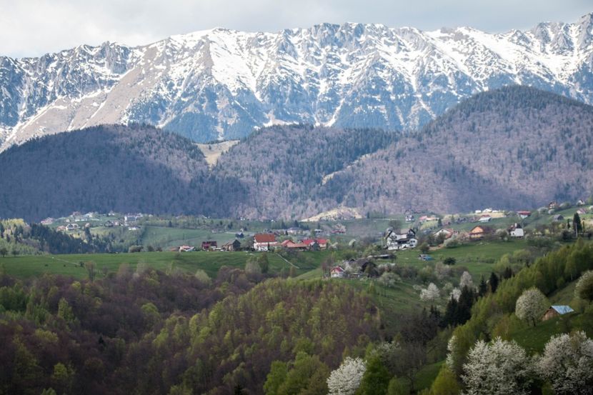  - Vă place Bran-ul ?