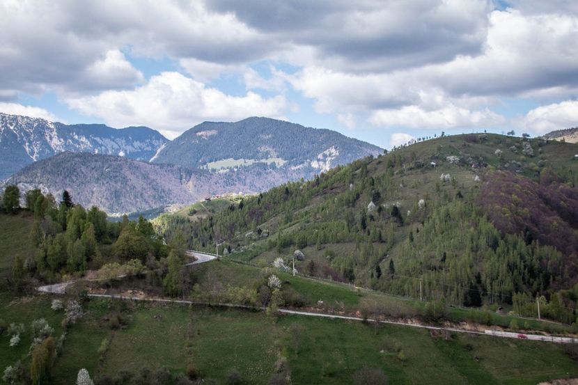  - Vă place Bran-ul ?