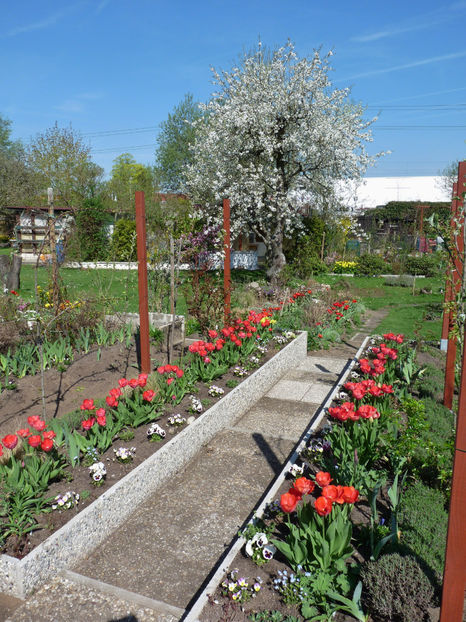  - 2018 - 01 - Primavara