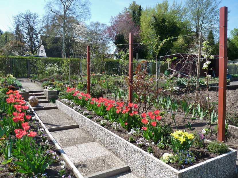  - 2018 - 01 - Primavara