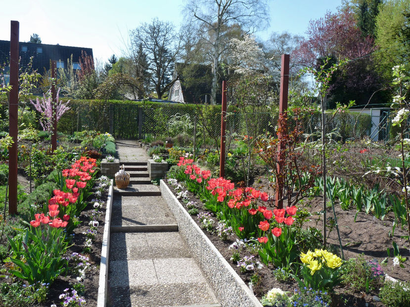  - 2018 - 01 - Primavara