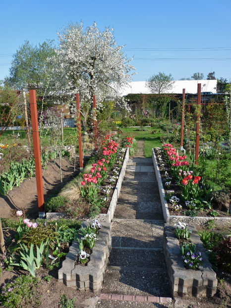  - 2018 - 01 - Primavara