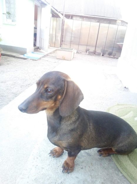 received_201792080625903 - TEKEL DE VINZARE